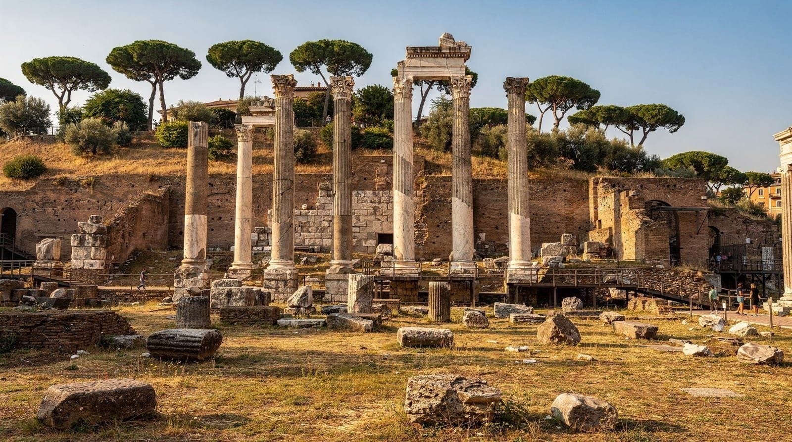 Palatine Hill guide: the emperor's neighbourhood nobody reads about — Palatine Hill: Rome's oldest site and most overlooked ruin. Imperial palace, Far