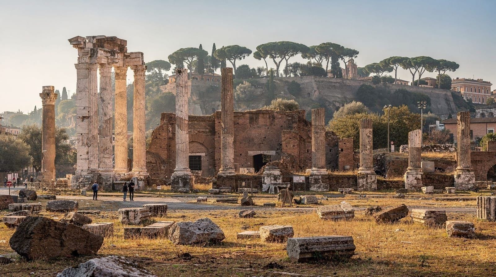 Roman Forum guide: what to see and how to understand it — Navigate the Roman Forum confidently — which ruins to prioritise, how to read th